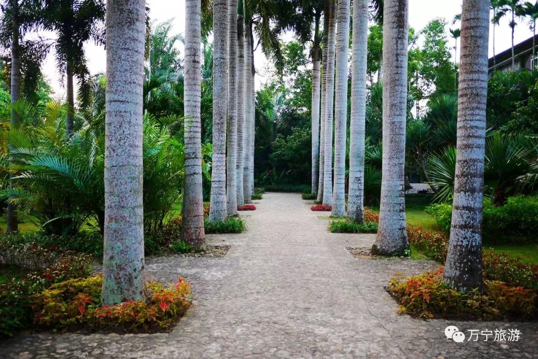 购物清单春节,春节购物清单竖版