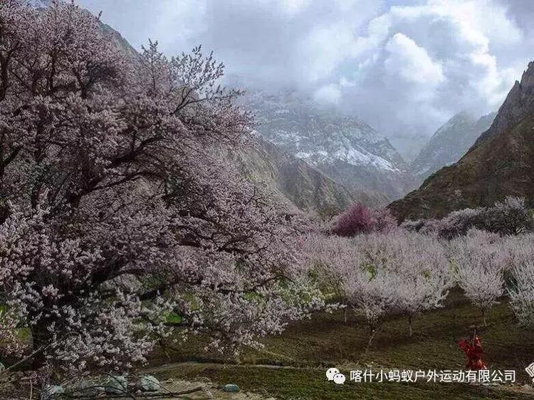 帕米尔高原肖贡巴哈尔节,帕米尔高原上的肖贡巴哈尔节