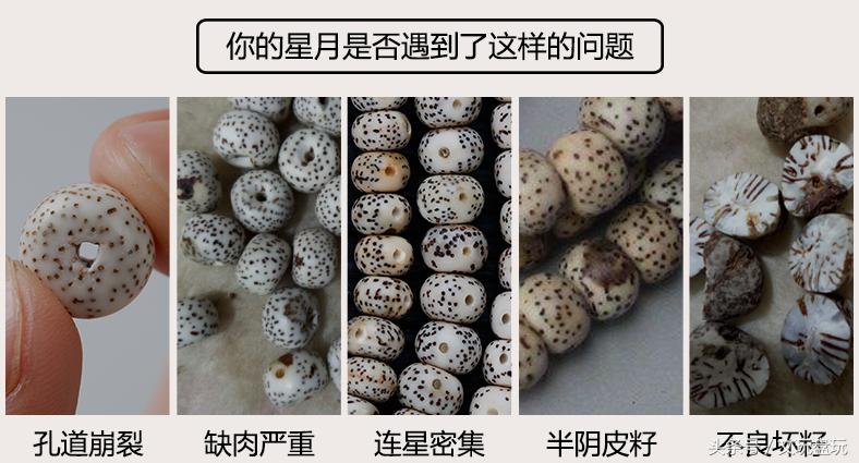 星月菩提真假对照表,各种星月真实图片