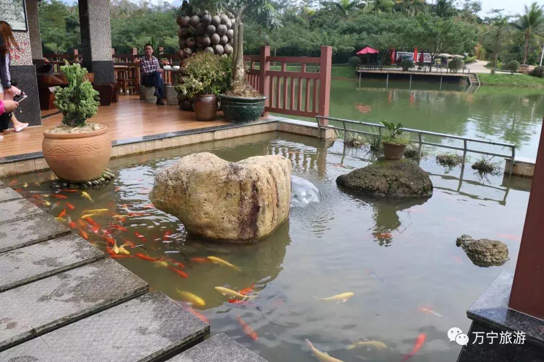 购物清单春节,春节购物清单竖版