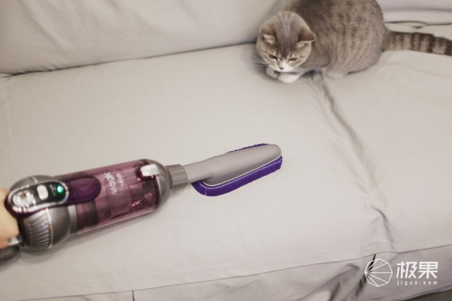 猫奴必做攻略,猫奴必看喵星人