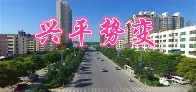 我叫兴平，这是我的年终总结！