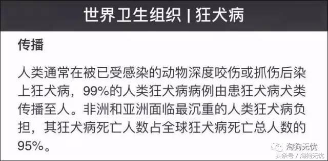 求助小猫被绳子缠住后续,被猫抓了要去打针吗