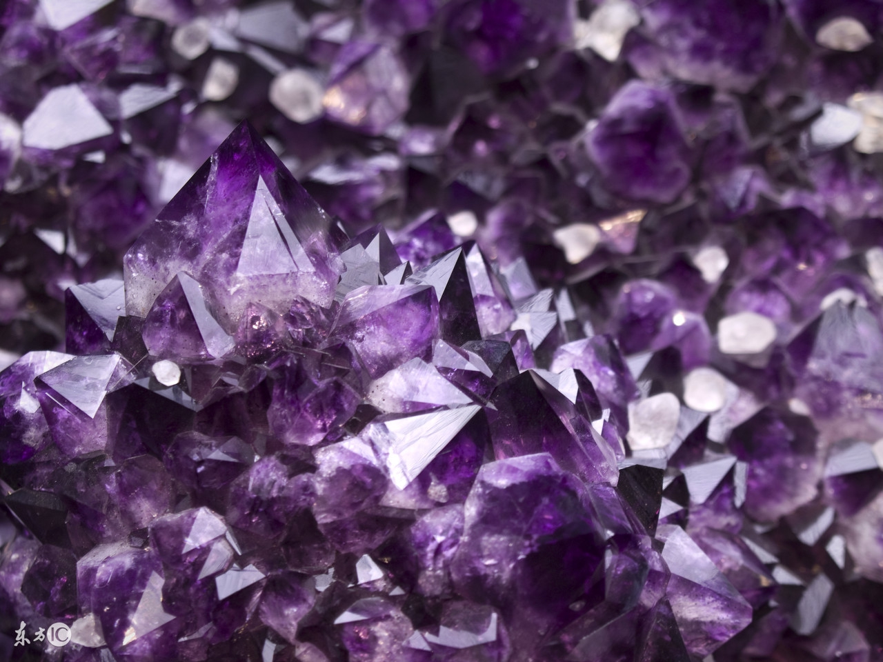 贵州旅游购物陷阱 (张家界旅游购物店陷阱)