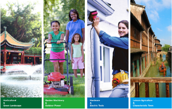 2018青岛多肉植物展,青岛荷绿园林绿化