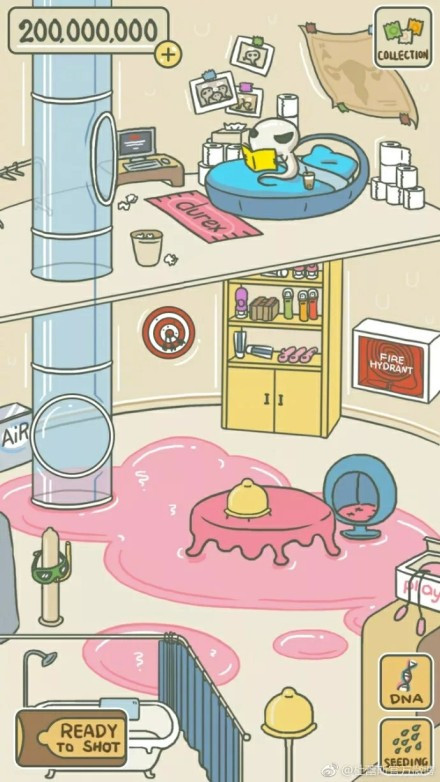 养宠物蛙的乐趣是什么,养蛙能培养出感情吗