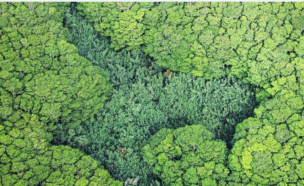 侏罗纪公园取景地有哪些,侏罗纪公园拍摄地