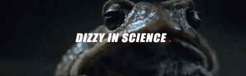 澳洲大量狗舔蟾蜍上瘾,狗狗舔到蟾蜍有没有事