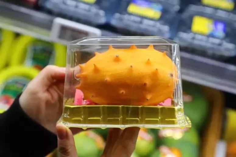 宇宙最红“地球港”空降北京!8国牛肉,逛吃7天不重样!