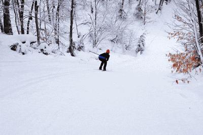 周末滑雪怎么去,周末去雪野湖哪个位置好玩
