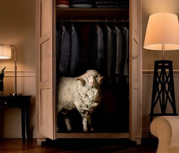 世界十大顶级男装面料,流行的男装面料有哪些