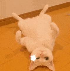 SK-II佳洁士、Nars泊美，这些品牌竟然是一家人！