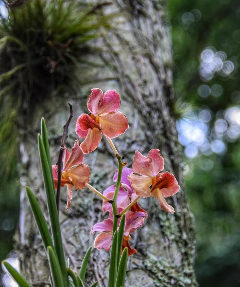 侏罗纪公园取景地有哪些,侏罗纪公园拍摄地