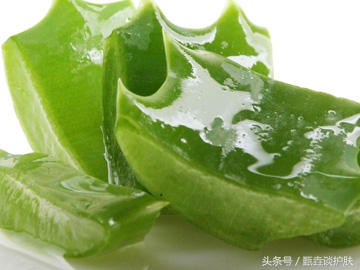 夏日必备神器芦荟胶来啦,神奇芦荟胶