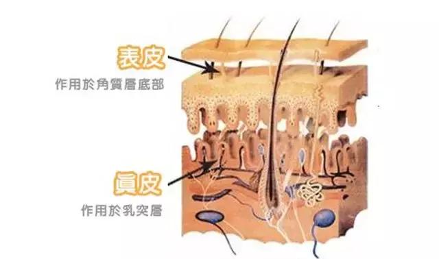桃树褐斑穿孔病治疗方法,褐斑可以激光治疗吗