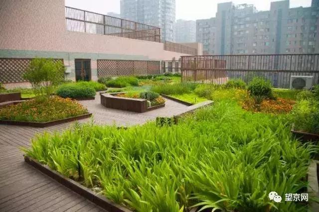 北京北师大招聘,朝阳师范最新招聘