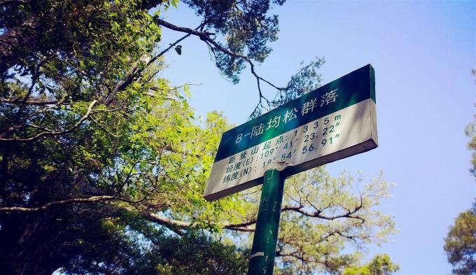 三亚旅游攻略纪念品,自驾游海南三亚必备物品清单