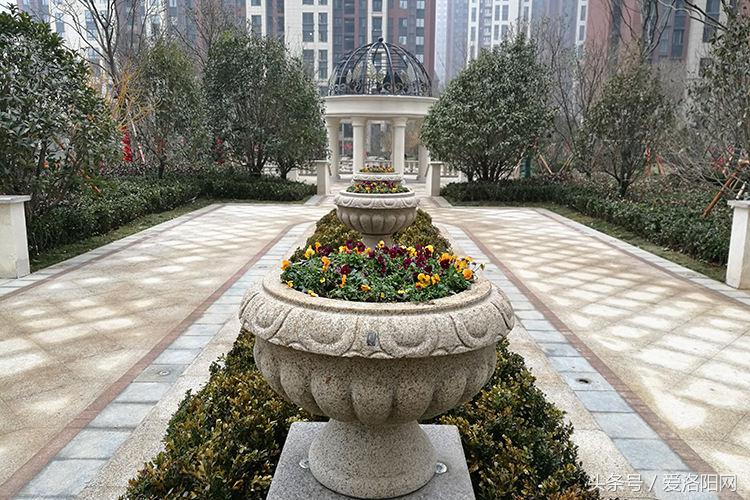 和昌中央城邦小户型,和昌中央城邦房价最新