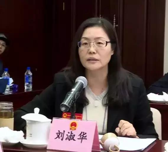 痛快现场版北京,北京两会通州代表团发言