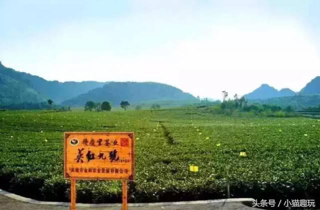 英德奇洞温泉特价门票多少钱一张,英德奇洞温泉度假区两日自驾游