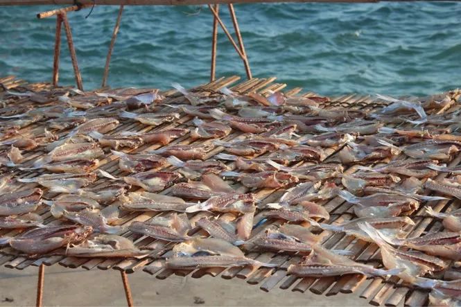 海口自驾三亚旅游攻略最新,海南怎么游