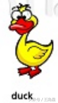 20个动物英语单词,2-8岁儿童学动物英文单词