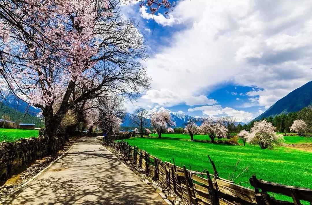 拉林高速最美段,公路的颜值