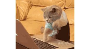 在哪里能买到断货的口红,最近卖断货的口红色号