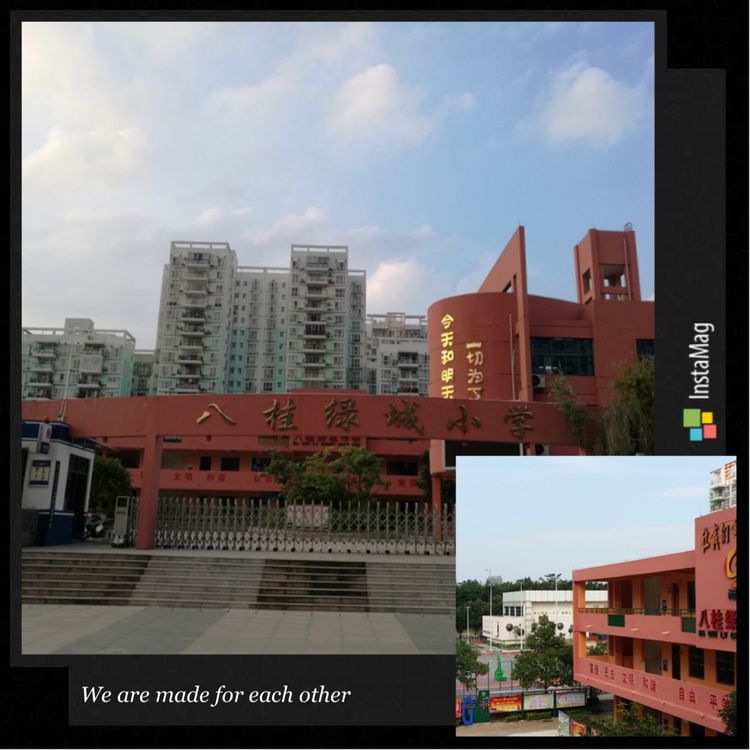 学生成长的沃土师生眷恋的乐园一一八桂绿城小学2017年工作汇报