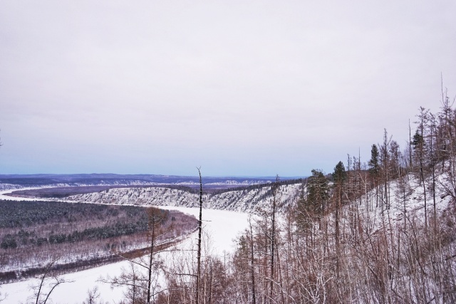 「新年目的地推荐一」金鸡之巅，边境梦雪，一路向北