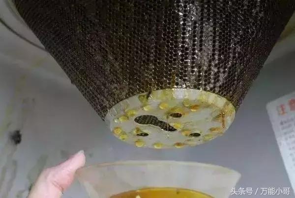 免拆高温清洗油烟机,蒸汽清洗油烟机价格一般是多少