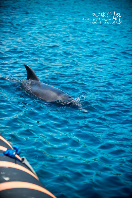 以色列三千年历史,以色列穿越时空项目