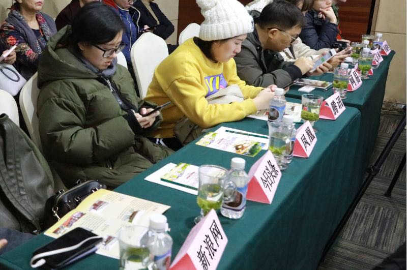 沈阳森林公园神秘谷,十一游抚顺猴石国家森林公园