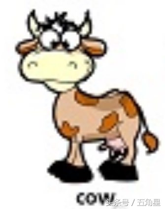 各种动物的英文单词视频,2-8岁儿童学动物英文单词