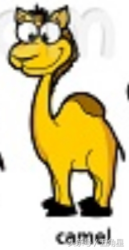 各种动物的英文单词视频,2-8岁儿童学动物英文单词