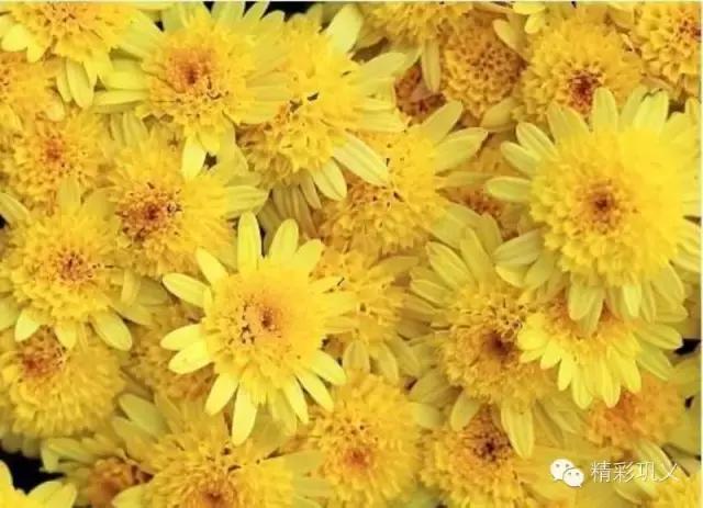 河南特产礼物,郑州特产送人的特色礼品