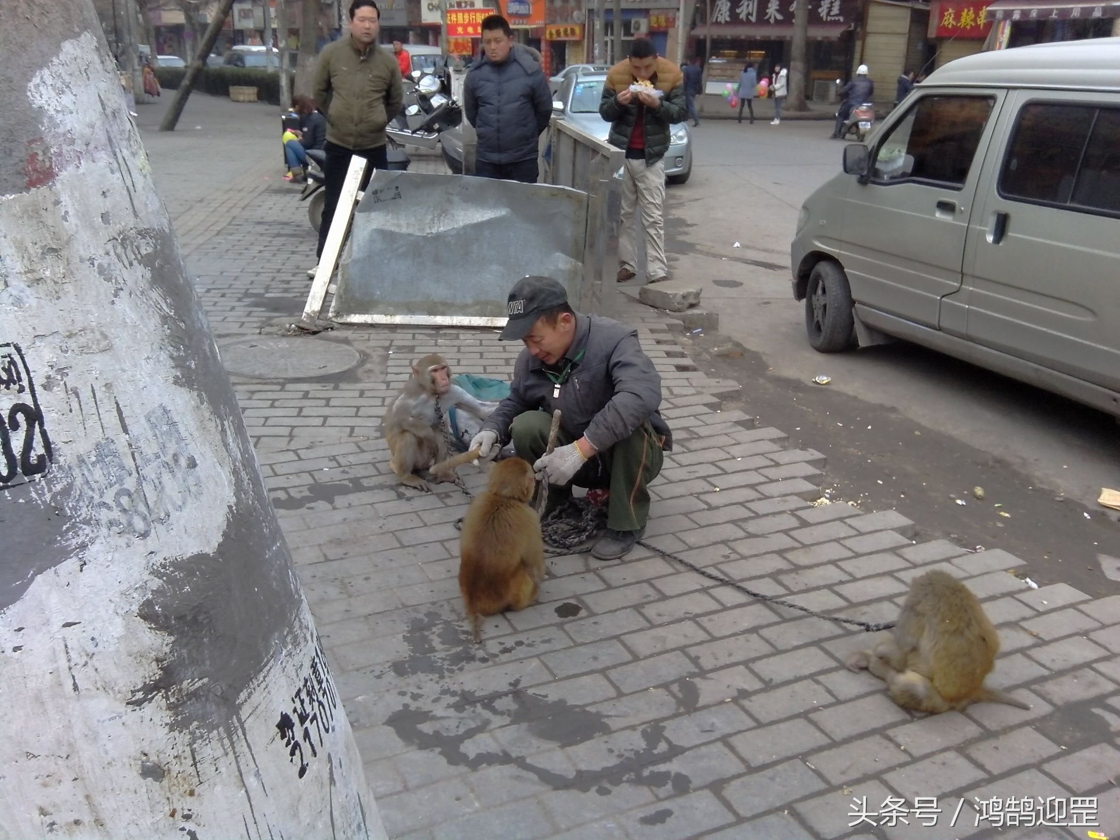 “猴戏”即将退出生活舞台,带走了我们的乐趣和记忆