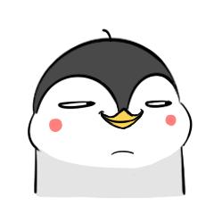 比小青蛙还萌的小企鹅——阿七，看一眼就会爱上的小贱萌