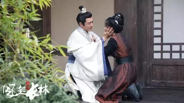 琅琊榜之风起长林剧情简介,琅琊榜之风起长林内容简介