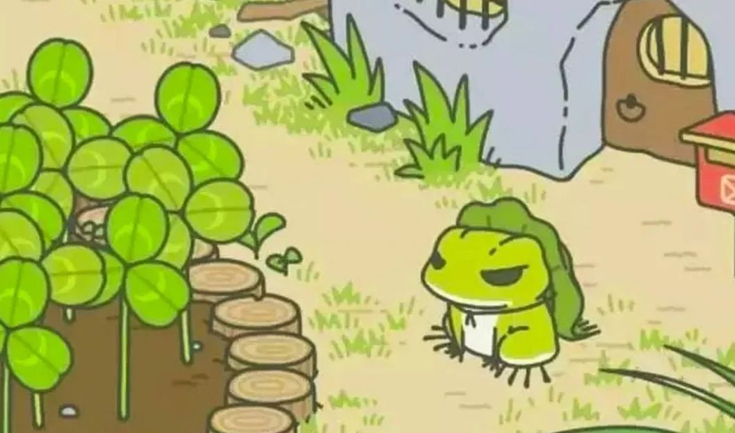 一只佛系青蛙,一只佛系的青蛙