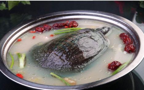 农村河里的这些小野味，你吃过吗？个个是绝品，超好吃！