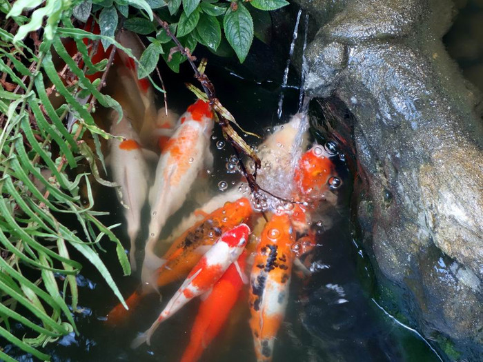 长滩之旅分享篇,长滩旅游行程