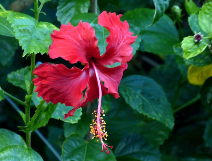 长滩之旅分享篇,长滩旅游行程