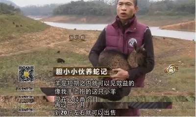 将“新白娘子传奇”转变为致富神话