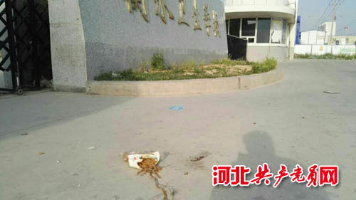 垃圾围困“象牙塔”衡水卫生学校门前缘何不卫生