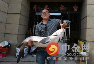 浙江男子为戒赌钓到螺蛳青关于螺蛳青的食用指导有哪些