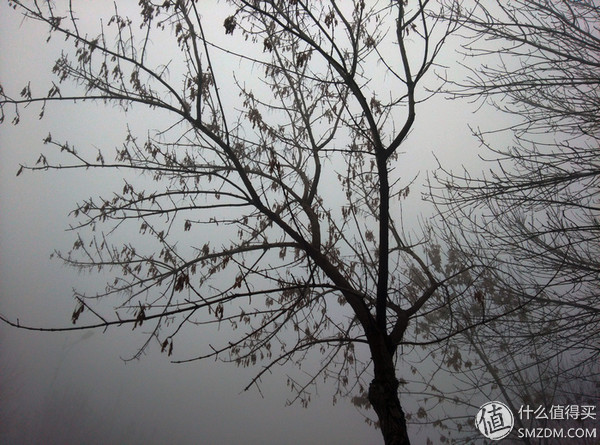 老炮儿的妥协与坚持：HTCOneA9众测体验