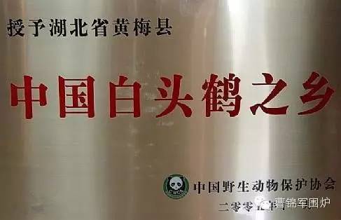 你好，我叫黄梅，这是我的简历