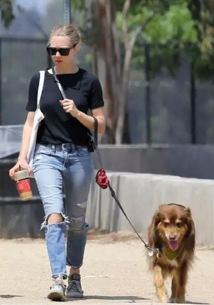 今年最潮弹力破洞微喇牛仔裤,潮流牛仔裤有哪些