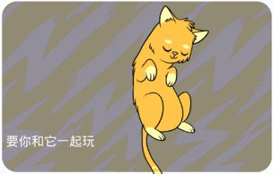 新手养猫指南铲屎官必看,铲屎官最容易忽略的五点养猫常识